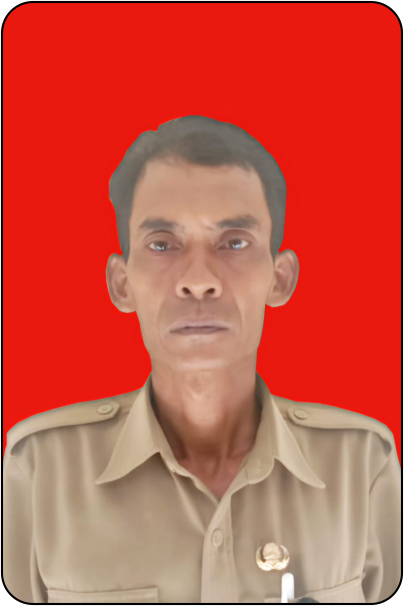 Sardi